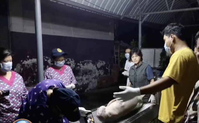 ถอดบทเรียนจากการตายของพะยูน “มาเรียม”