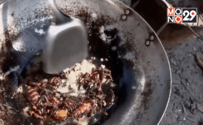 ลิ้มรสเมนูแมลงที่กัมพูชา