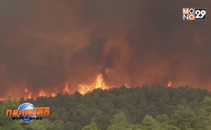 สรุปข่าวต่างประเทศ 14-08-62