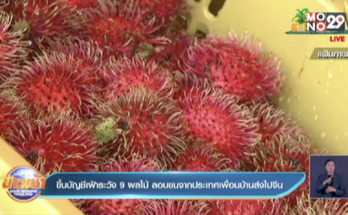 ขึ้นบัญชีเฝ้าระวัง 9 ผลไม้ ลอบขนจากประเทศเพื่อนบ้านส่งไปจีน