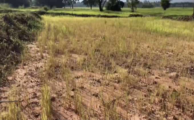 จังหวัดภาคอีสานเริ่มเผชิญภัยแล้ง