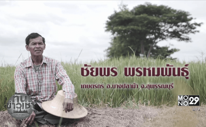 ชัยพร พรหมพันธุ์ Hero ผู้เผยแพร่แนวทางการทำนาแบบเกษตรอินทรีย์