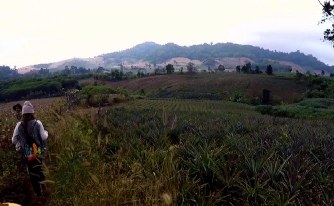 ยลความงามธรรมชาติ ที่อุทยานแห่งชาติพุเตย