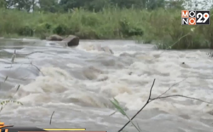 ฝนตกชุกป่าแม่วงก์ น้ำป่าทะลัก