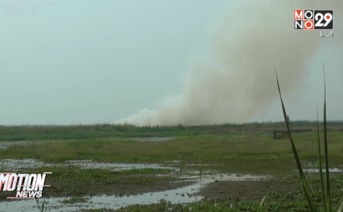 ไฟไหม้บึงสีไฟ จ.พิจิตร เกิดหมอกควันจำนวนมาก