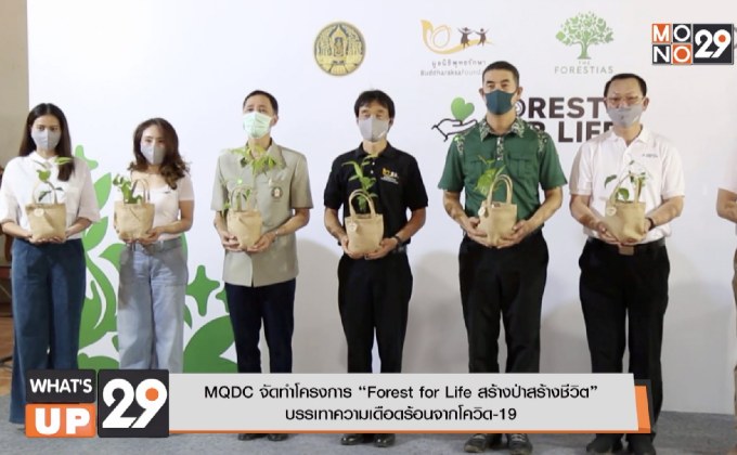 MQDC จัดทำโครงการ “Forest for Life สร้างป่าสร้างชีวิต” บรรเทาความเดือดร้อนจากโควิด-19
