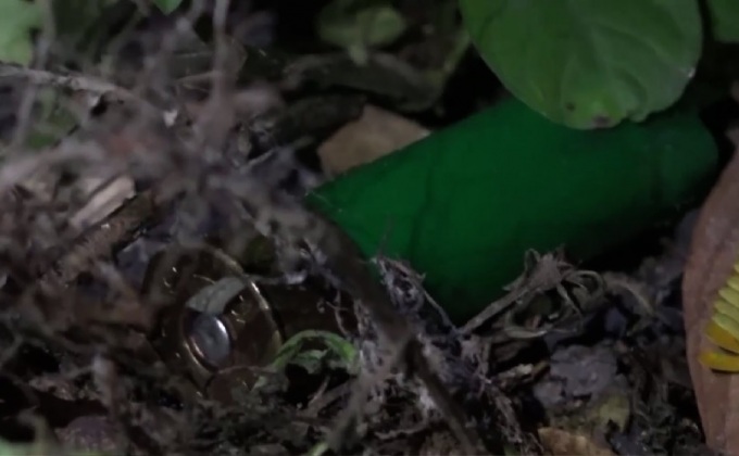 บุกยิงอดีตทหารพราน จ.ยะลา เสียชีวิต