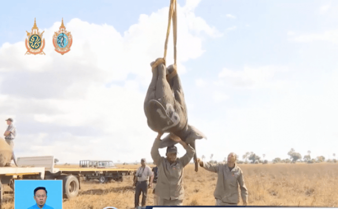 โครงการย้ายถิ่นช้างในมาลาวี