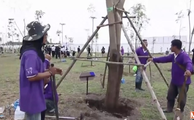 กรมป่าไม้ เปิดยุทธการ หยุดนายทุนปลูกยางในป่าสงวนฯ