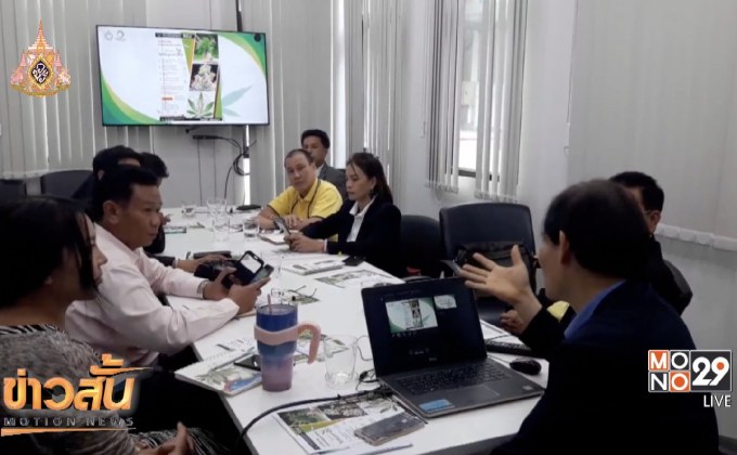 ม.รังสิต เปิดสอนวิชากัญชาศาสตร์