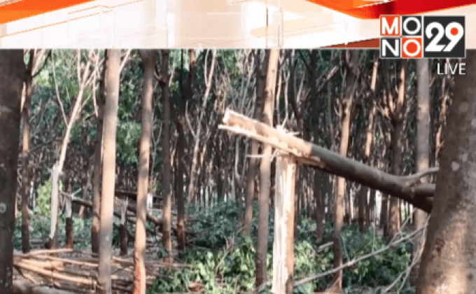 พายุฤดูร้อนถล่มใน จ.สุรินทร์