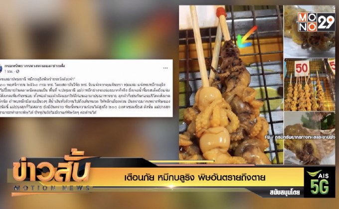 เตือนภัย “หมึกบลูริง” พิษอันตรายถึงตาย