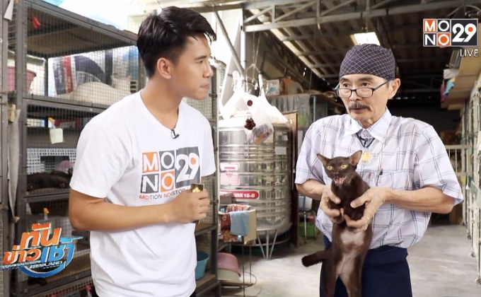เจษฎาพาลุย : บ้านแมวไทยบางรัก (ตอนที่ 2)