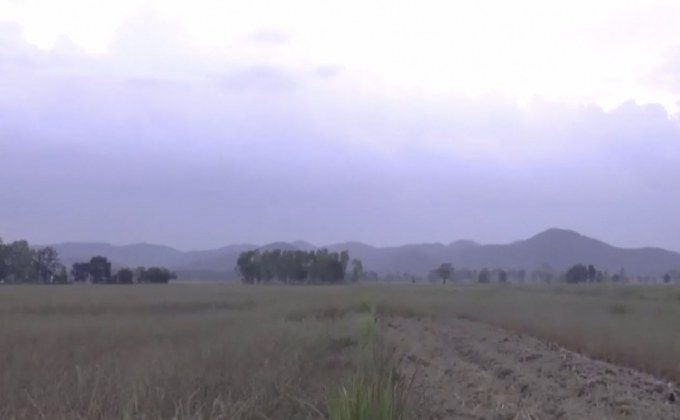พะเยาแล้งนาข้าวหลายพันไร่ใน ต.ลอ เสียหายหนัก