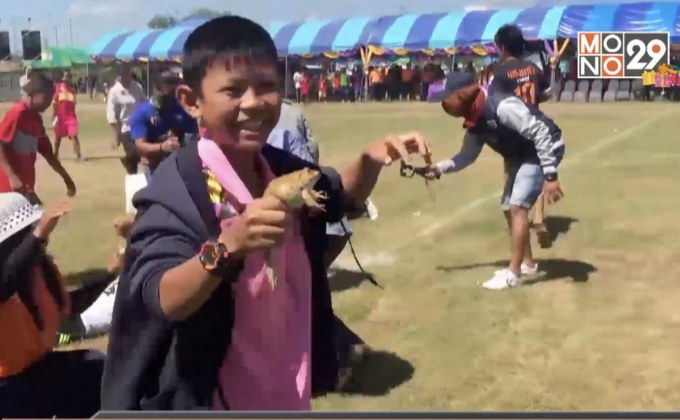 กีฬามหาสนุก แข่งจับ “กบ” มือเปล่า