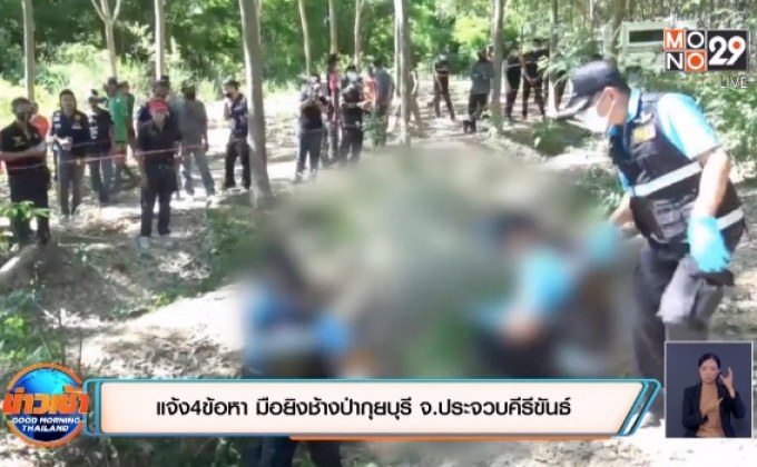 แจ้ง 4 ข้อหา มือยิงช้างป่ากุยบุรี จ.ประจวบคีรีขันธ์