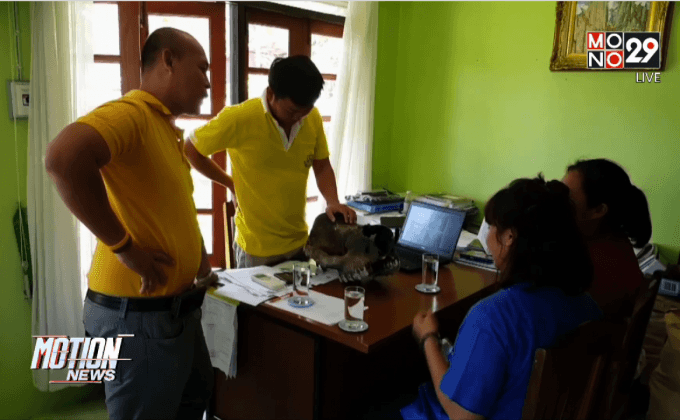 คืบหน้าตรวจสอบโครงกระดูกสัตว์ป่า