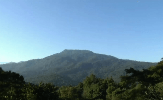 ศึกษาธรรมชาติเหนือเรือนยอดไม้