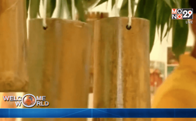 อินเดียหนุนใช้ไม้ไผ่ช่วยลดโลกร้อน