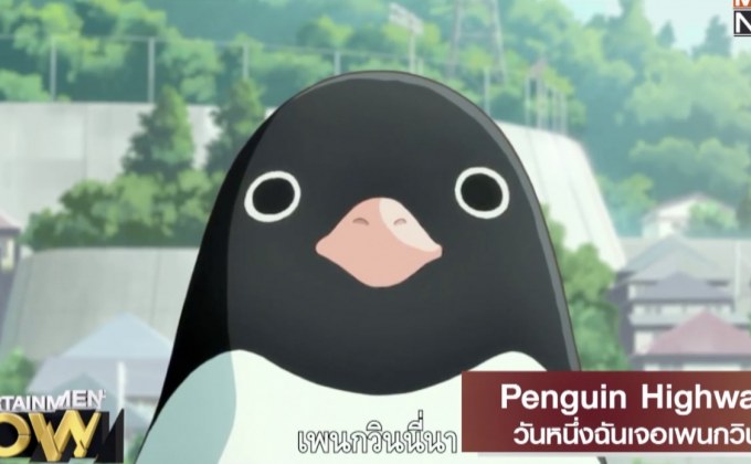 Movie Review : Penguin Highway วันหนึ่งฉันเจอเพนกวิน