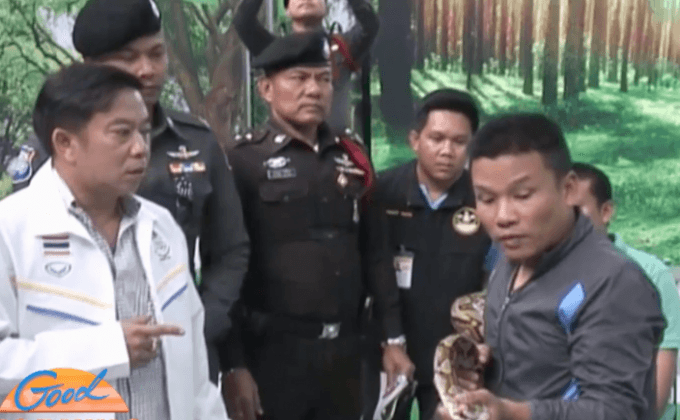 ภูเก็ตล้อมคอกการแสดงโชว์สัตว์