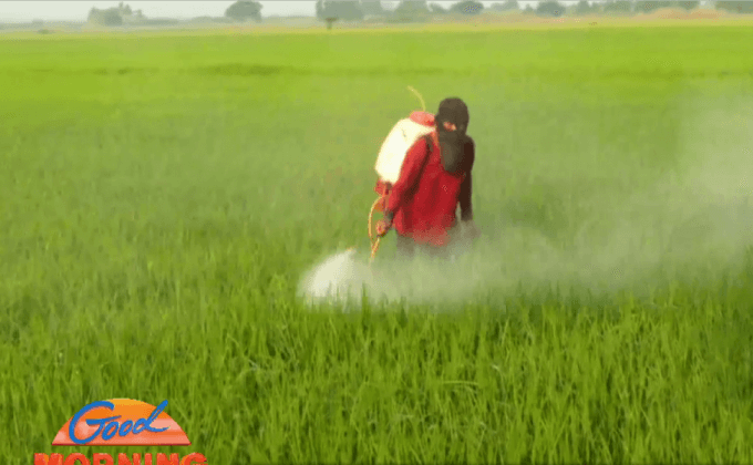 แนะรัฐเร่งแก้วิกฤตภัยแล้ง หวั่นเกิดแย่งน้ำในอนาคต