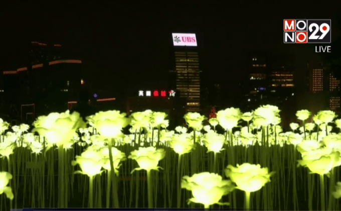 สวนดอกกุหลาบ LED ที่ฮ่องกง