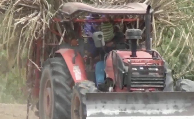 วันนี้เกษตรร้องศาลปกครองคุ้มครองชั่วคราว 3 สารเคมี