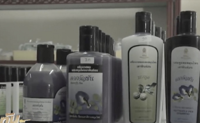 แนวคิดเศรษฐกิจพอเพียง สร้างรายได้ให้ชุมชน 