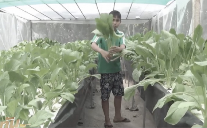 เด็กชายวัย 13 ปี ปลูกผักขายยึดหลักพอเพียง