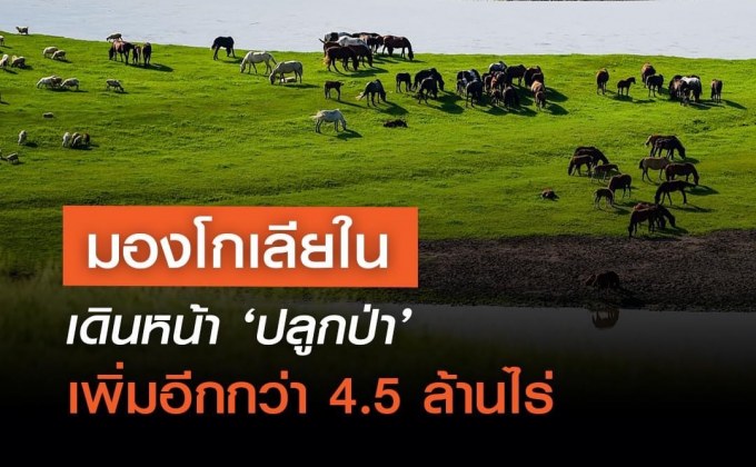 มองโกเลียในเดินหน้า ‘ปลูกป่า’ เพิ่มอีกกว่า 4.5 ล้านไร่