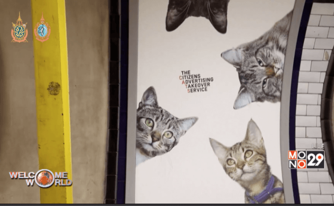 ป้ายโฆษณารูปแมวในสถานีรถไฟใต้ดินลอนดอน