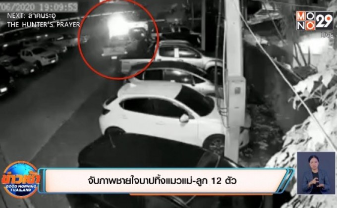 จับภาพชายใจบาปทิ้งแมวแม่-ลูก 12 ตัว