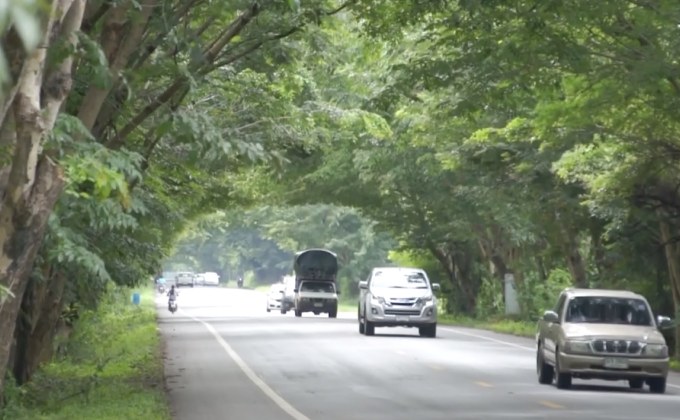 ตื่นตาถนนอุโมงค์ต้นไม้ ร่มรื่นสวยงาม