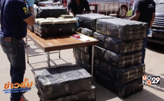 ตร.ตรวจยึดกัญชากว่า 1 ตัน จ.สกลนคร