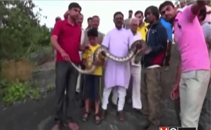 หนุ่มอินเดียโดนงูเหลือมฉกขณะถ่ายเซลฟี่