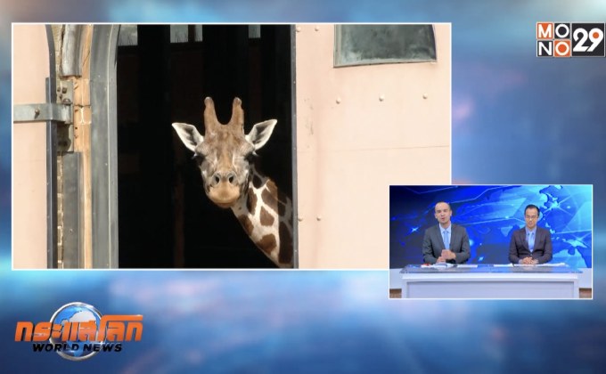 ห้องพักกลางสวนสัตว์ในอังกฤษ