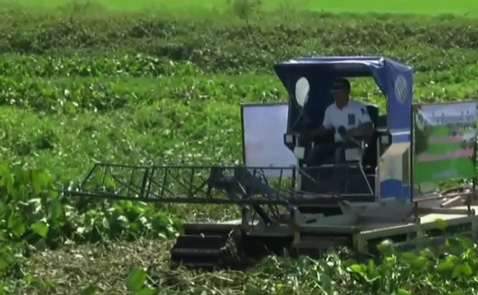 อยุธยากำจัดผักตบชวา 3 แสนตันภายในมี.ค.นี้