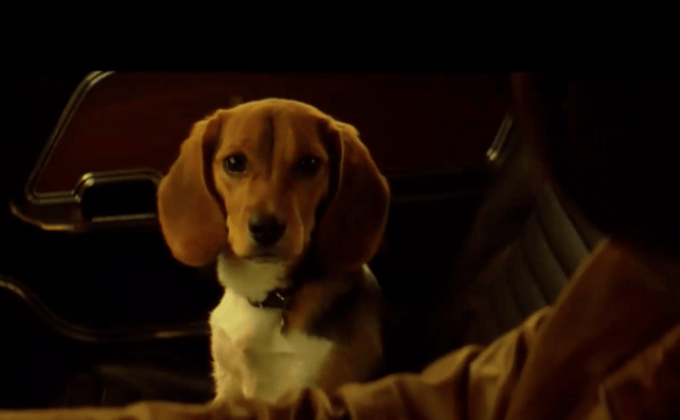 “คีอานู รีฟส์” ยืนยัน John Wick 2 จะไม่เห็นหมาน้อยต้องเจ็บตัว!