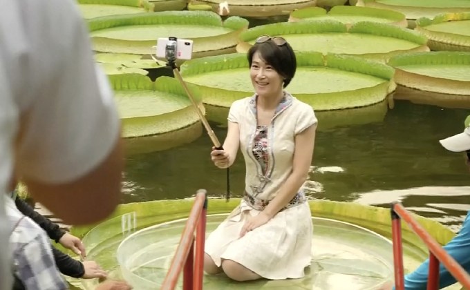 ผู้คนแห่ถ่ายภาพบนใบบัวยักษ์ในไต้หวัน