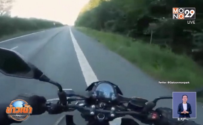 คลิปน่ารักบนท้องถนน