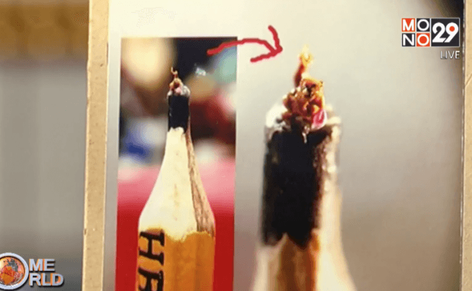 ผลงานศิลปะต้อนรับปีลิง