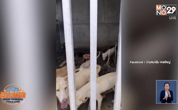 ตำรวจรอหมายค้นบ้านขังสุนัข จ.สงขลา