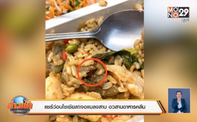 แชร์ว่อนโซเชียล! เจอแมลงสาบ อวสานอาหารคลีน