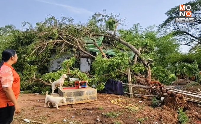 โคราช ช้ำ! พายุฤดูร้อนพัดถล่มกลางดึก บ้านเรือนพังเสียหายกว่า 20 หลัง