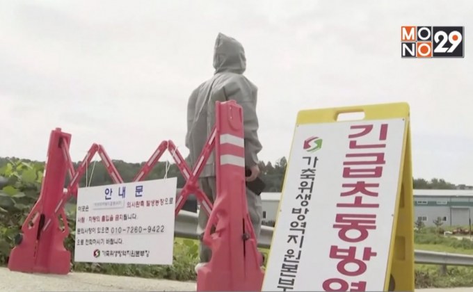 เกาหลีใต้พบโรคอหิวาต์แอฟริกาในสุกรครั้งแรก