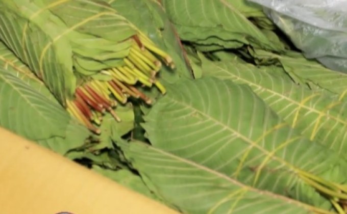 จับคนร้ายใช้รถไปรษณีย์ขนใบกระท่อม