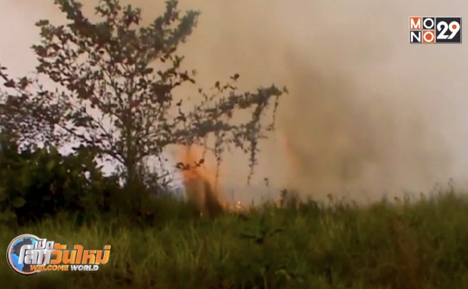 เจ้าหน้าที่อินโดฯ เร่งสอบสวนเหตุไฟป่า