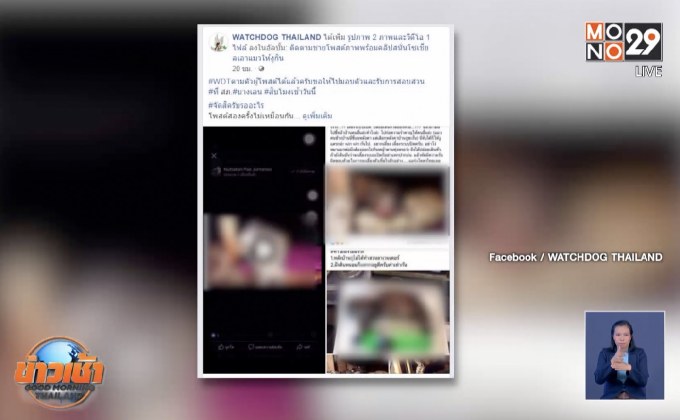 หนุ่มอ้างคลิปจับแมวให้งูกิน ย้ำเป็นซากแมวที่โดนรถชน