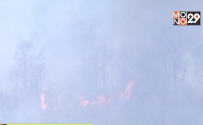 ภารกิจดับไฟป่าภูกระดึง ลมพัดแรงยังเป็นอุปสรรค